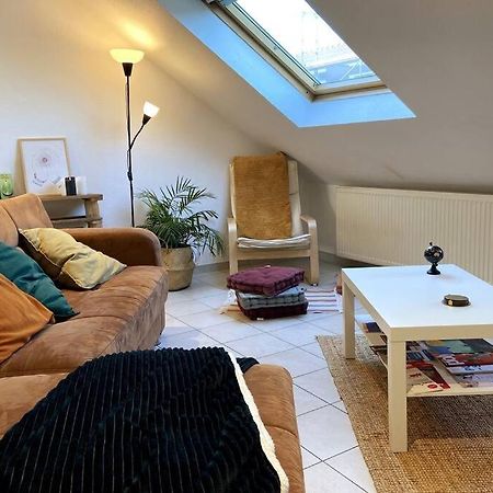10Min Bus Strasbourg Centre-Parking Prive-Wifi-Tv Bischheim Exterior foto