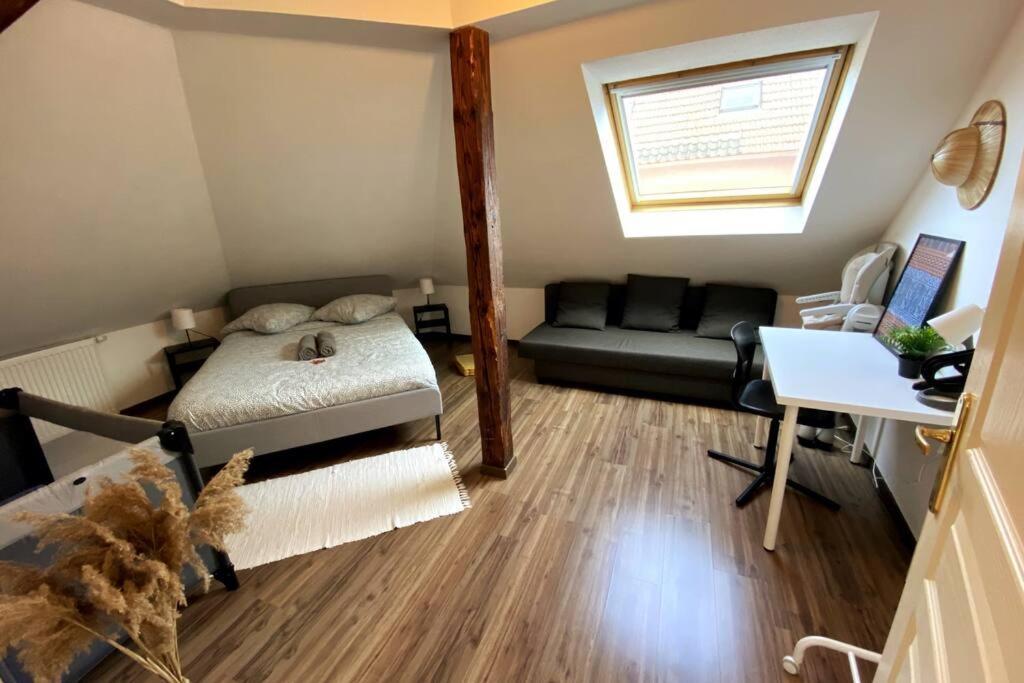 10Min Bus Strasbourg Centre-Parking Prive-Wifi-Tv Bischheim Exterior foto